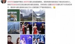 最新爆料维也纳视频,最新爆料背后的惊人真相